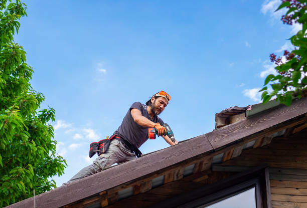 Best Slate Roofing  in Carrollwood, FL