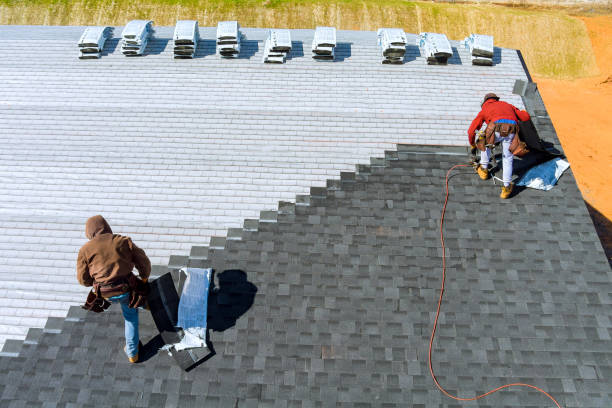 Best Roof Ventilation Installation  in Carrollwood, FL