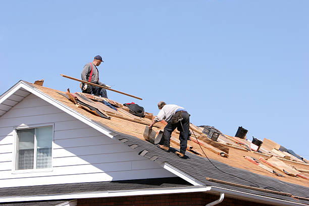 Best Commercial Roofing Services  in Carrollwood, FL